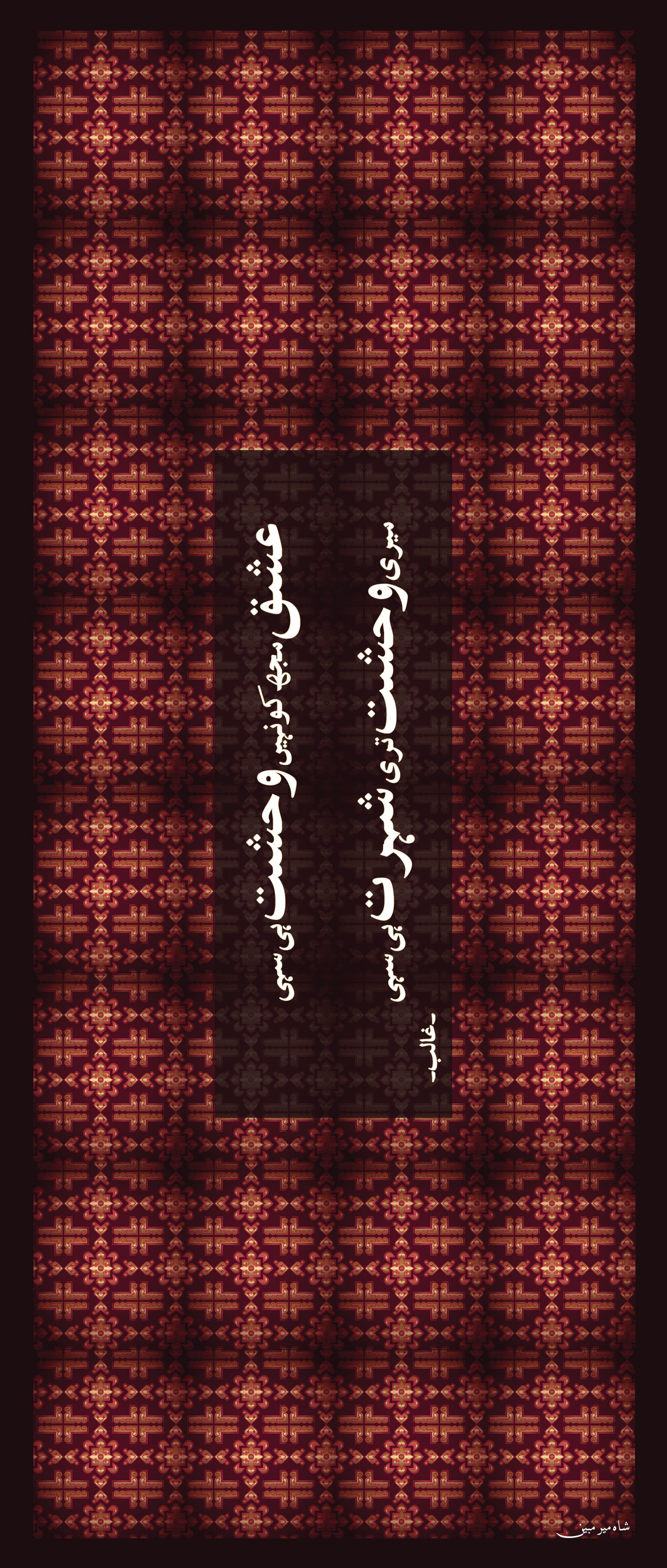 Ishq Mujh Ko Nahi Ghalib Odhni